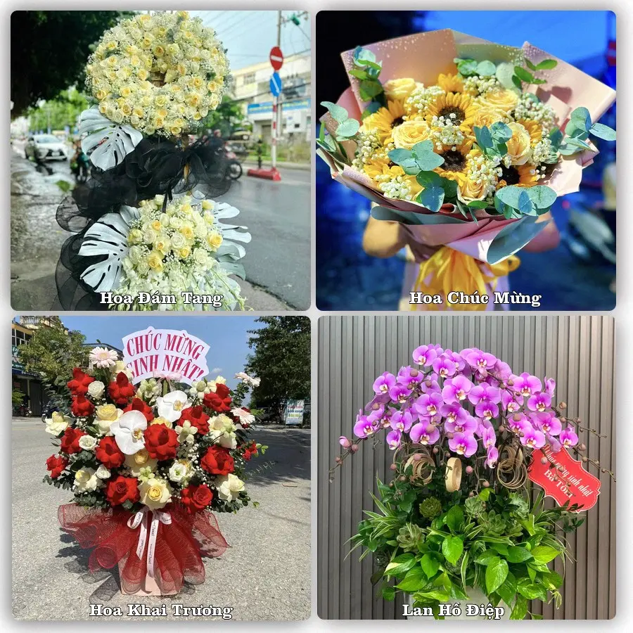 Tư vấn chọn hoa theo người nhận và dịp tặng tại Xã Châu Thành - Tỉnh An Giang