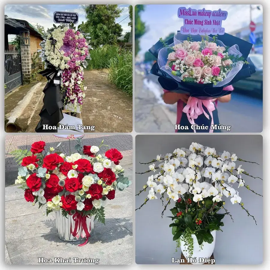 Mẫu hoa phục vụ nhu cầu đặt hoa tại Phường Gia Lộc - Tỉnh Tây Ninh