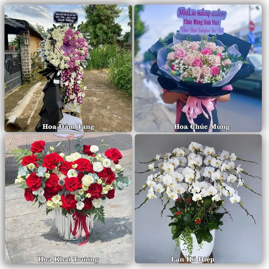 Mẫu hoa phục vụ nhu cầu đặt hoa tại Phường Gia Lộc - Tỉnh Tây Ninh