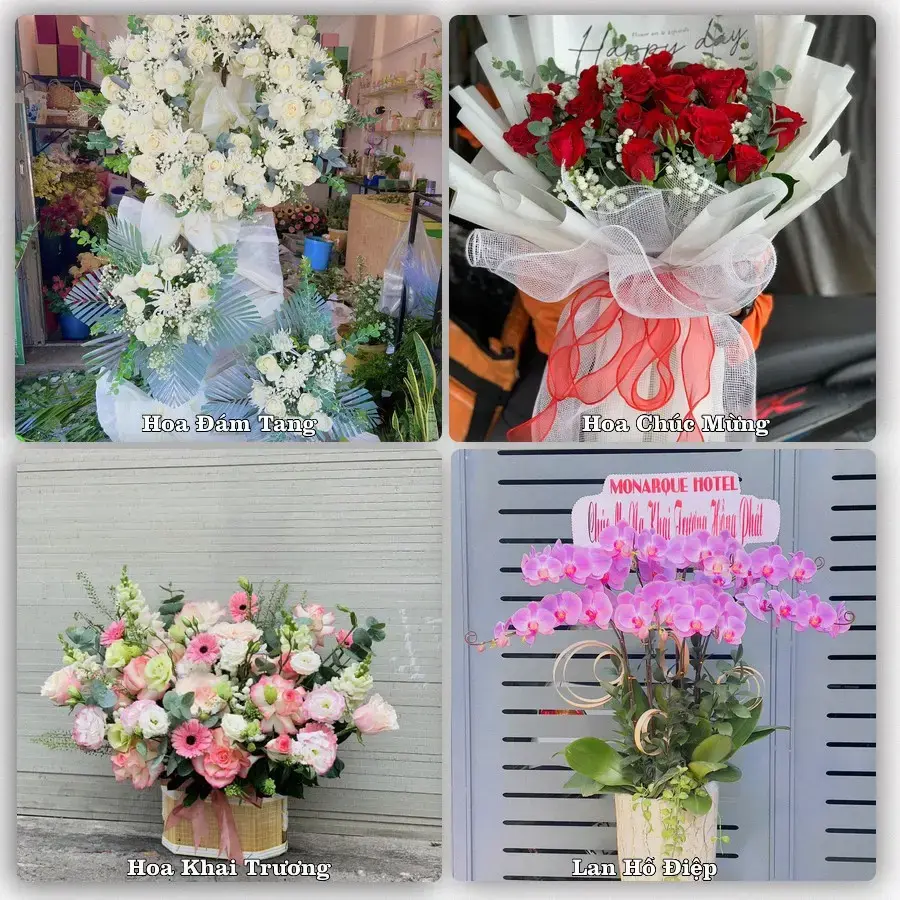 Tư vấn chọn hoa theo người nhận và dịp tặng tại Phường Gia Lộc - Tỉnh Tây Ninh