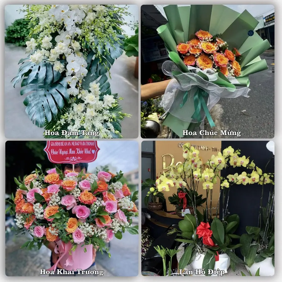Tư vấn chọn hoa theo người nhận và dịp tặng tại Phường Hồng Ngự - Tỉnh Đồng Tháp