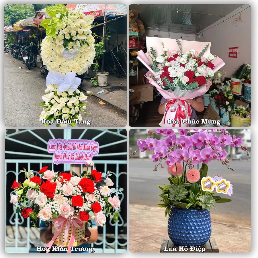Tư vấn chọn hoa theo người nhận và dịp tặng tại Phường Kim Thanh - Tỉnh Ninh Bình