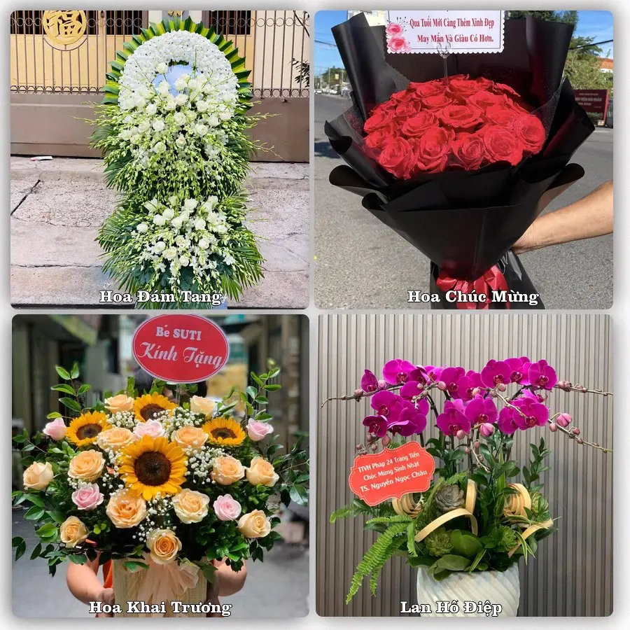 Mẫu hoa phục vụ nhu cầu đặt hoa tại Xã Nội Bài - Thành phố Hà Nội