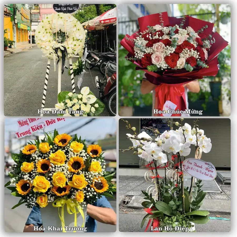 Tư vấn chọn hoa theo người nhận và dịp tặng tại Phường Phổ Yên - Tỉnh Thái Nguyên