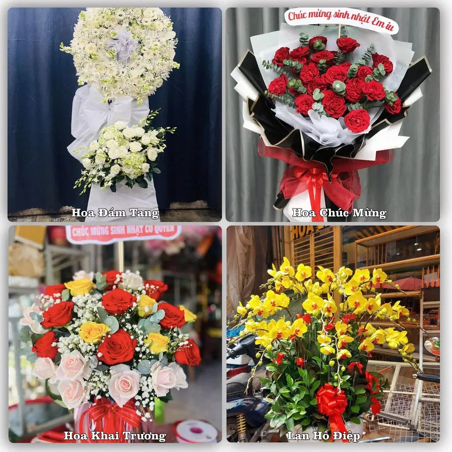 Tư vấn chọn hoa theo người nhận và dịp tặng tại Phường Quy Nhơn Nam - Tỉnh Gia Lai