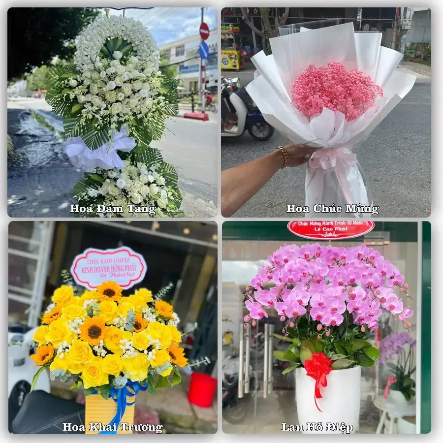 Shop hoa tươi Phường Sóc Trăng, Cần Thơ – đặt hoa theo dịp, giao tận nơi