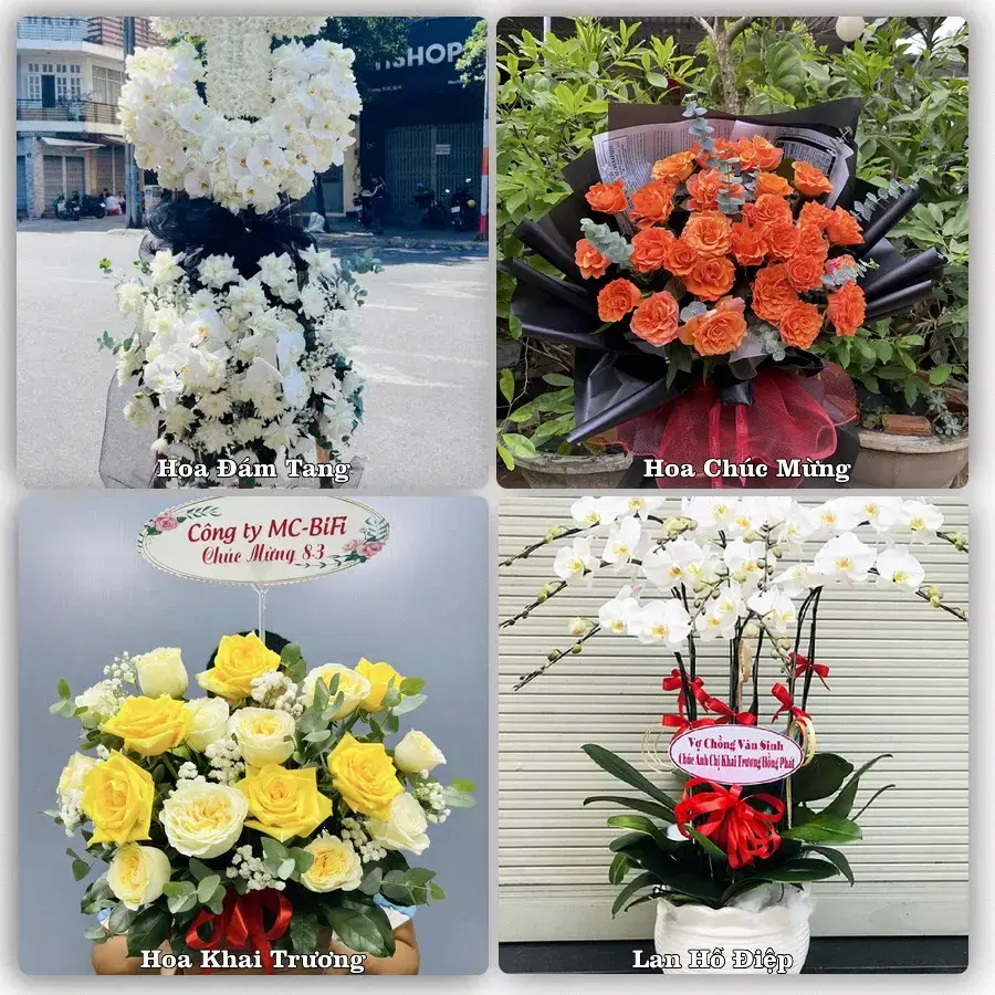 Tư vấn chọn hoa theo người nhận và dịp tặng tại Phường Sóc Trăng - Thành phố Cần Thơ