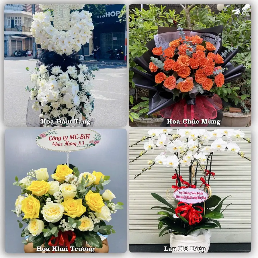 Tư vấn chọn hoa theo người nhận và dịp tặng tại Phường Sóc Trăng - Thành phố Cần Thơ