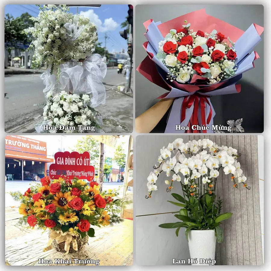 Dịch vụ đặt hoa và giao tận nơi tại Xã Thanh Hưng - Tỉnh Đồng Tháp