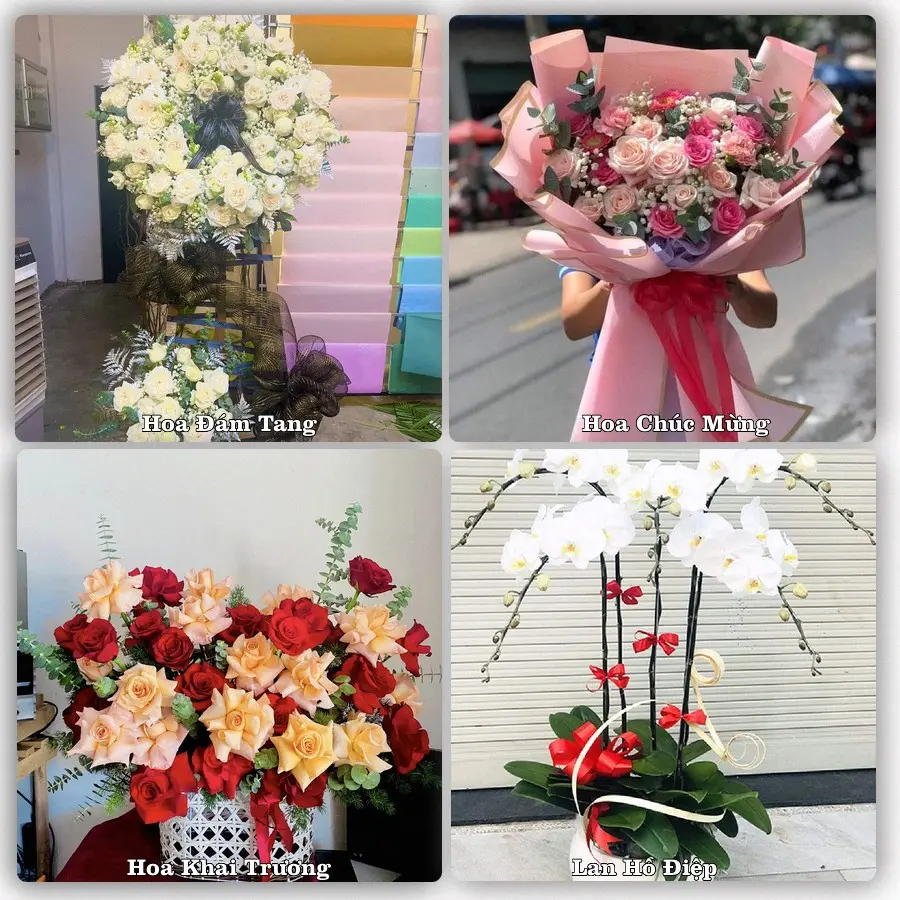 Mẫu hoa phục vụ nhu cầu đặt hoa tại Xã Thanh Hưng - Tỉnh Đồng Tháp