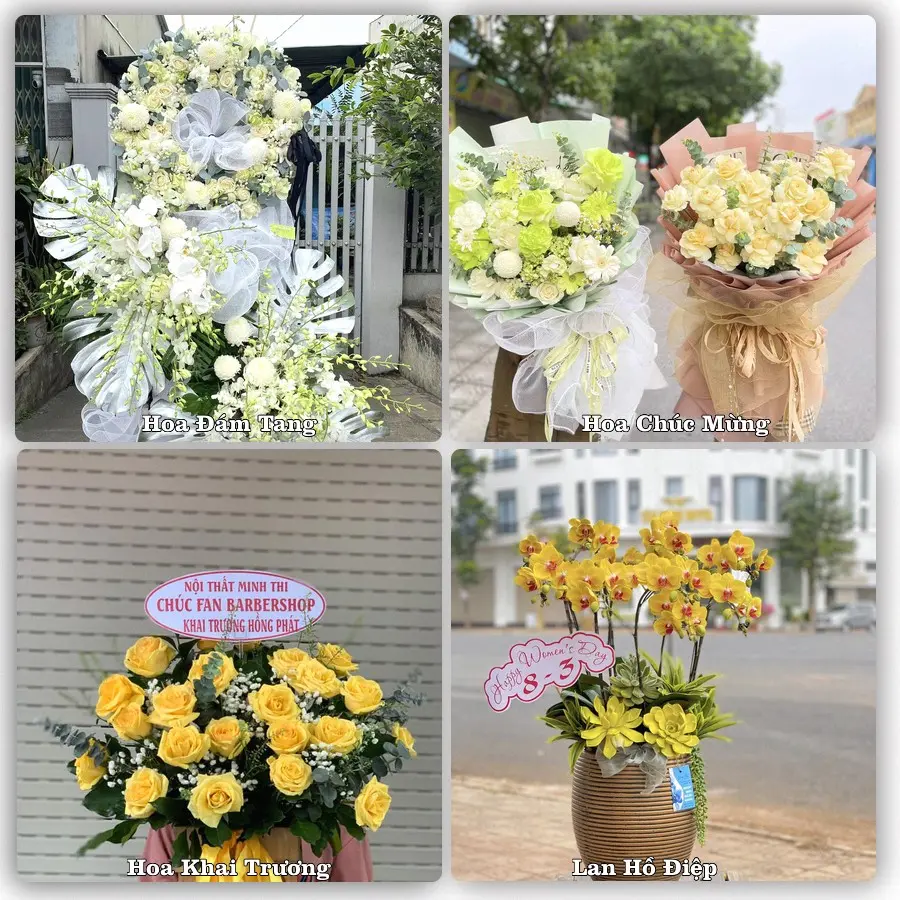 Tư vấn chọn hoa theo người nhận và dịp tặng tại Xã Thanh Hưng - Tỉnh Đồng Tháp