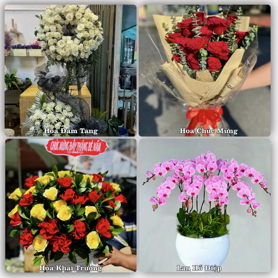 Mẫu hoa phục vụ nhu cầu đặt hoa tại Phường Trần Hưng Đạo - Thành phố Hải Phòng