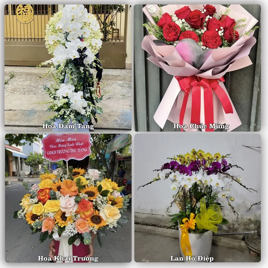 Tư vấn chọn hoa theo người nhận và dịp tặng tại Phường Trần Hưng Đạo - Thành phố Hải Phòng