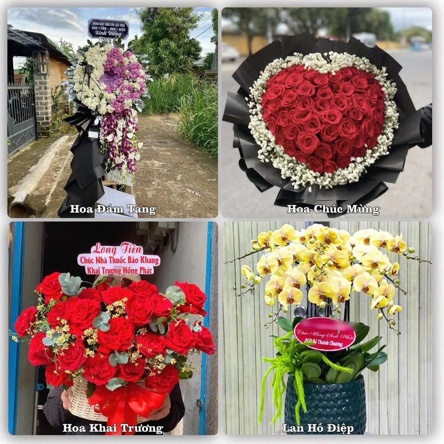 Mẫu hoa phục vụ nhu cầu đặt hoa tại Xã Vĩnh Phú - Tỉnh Phú Thọ