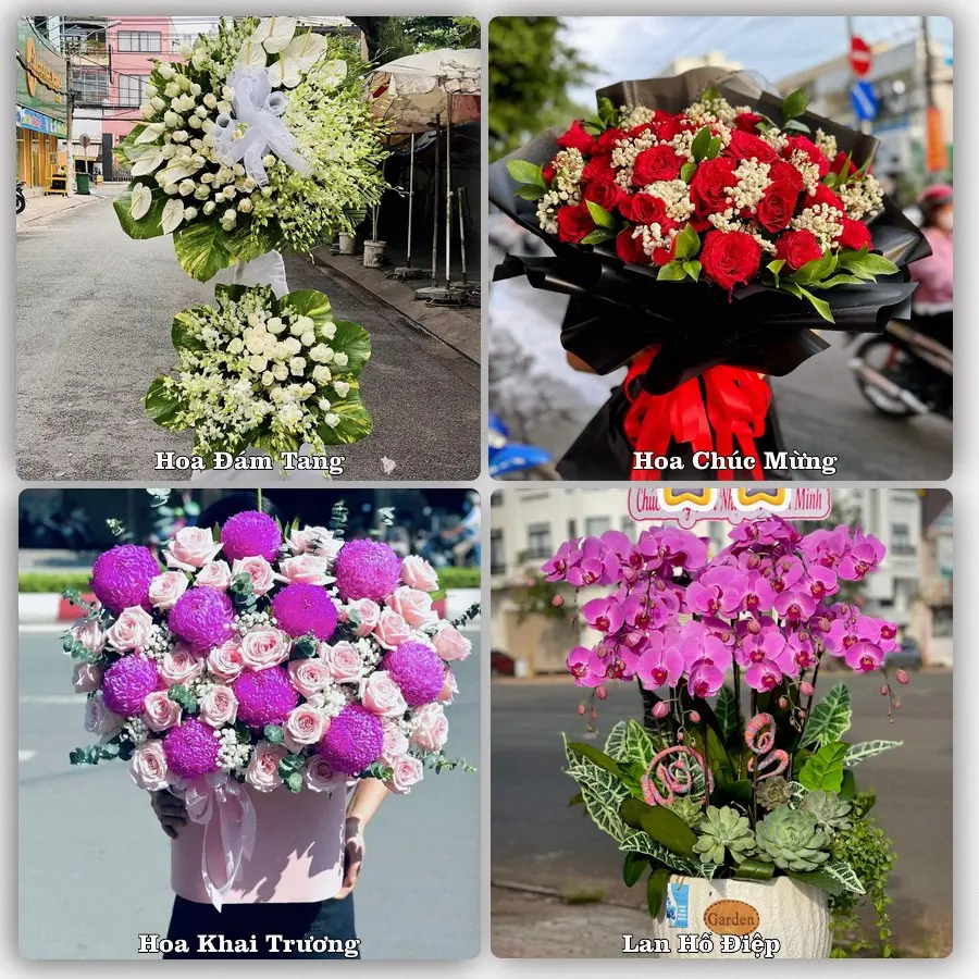 Tư vấn chọn hoa theo người nhận và dịp tặng tại Xã Vĩnh Phú - Tỉnh Phú Thọ