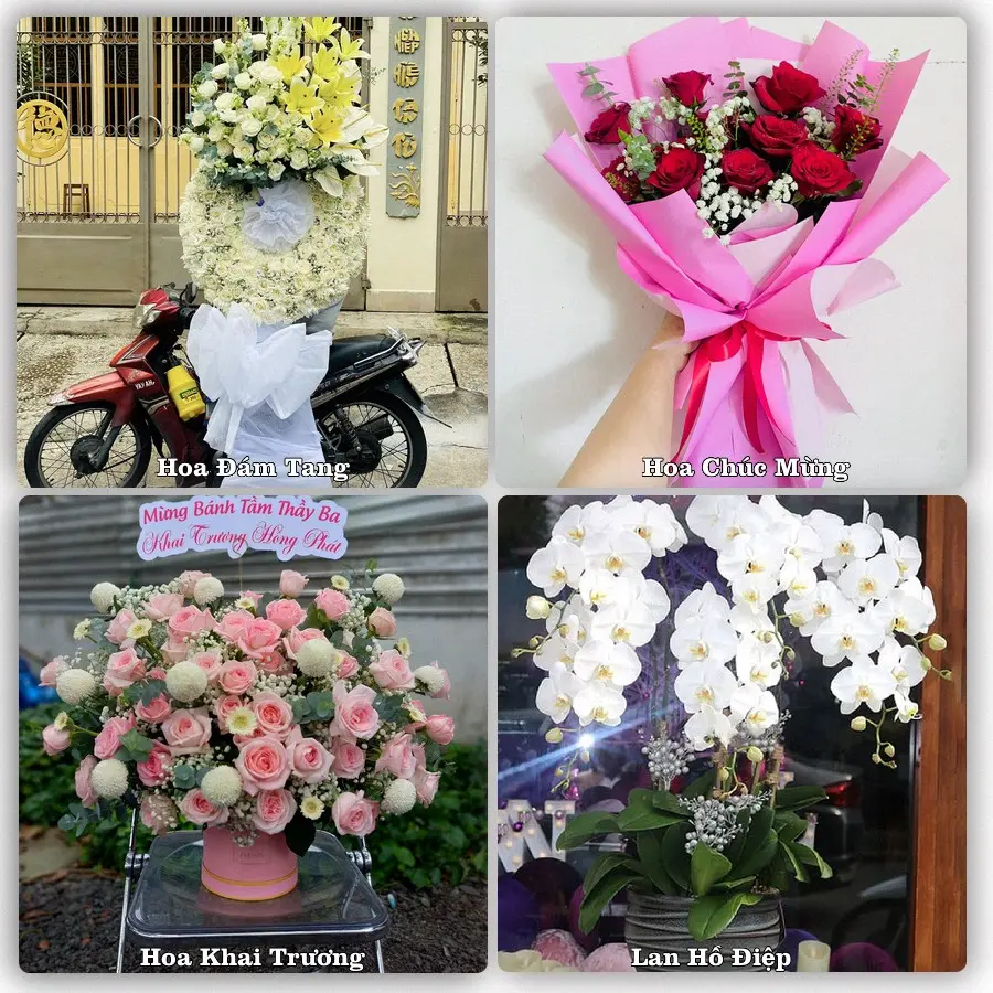 Tư vấn chọn hoa theo người nhận và dịp tặng tại Phường Bình Minh - Tỉnh Vĩnh Long