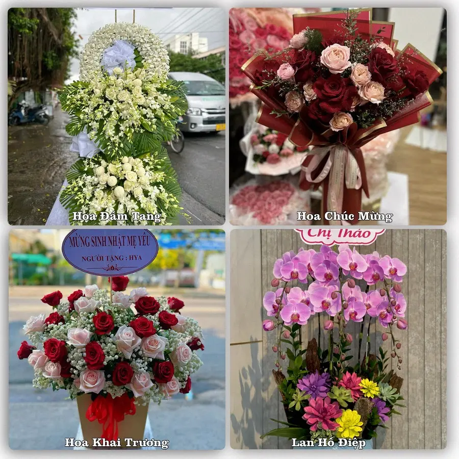 Dịch vụ đặt hoa và giao tận nơi tại Xã Hậu Nghĩa - Tỉnh Tây Ninh