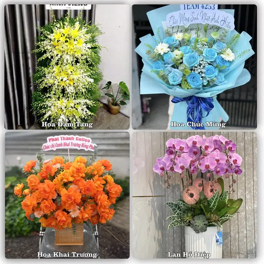 Tiệm hoa Xã Hậu Nghĩa, Tây Ninh – chọn hoa theo người nhận và dịp