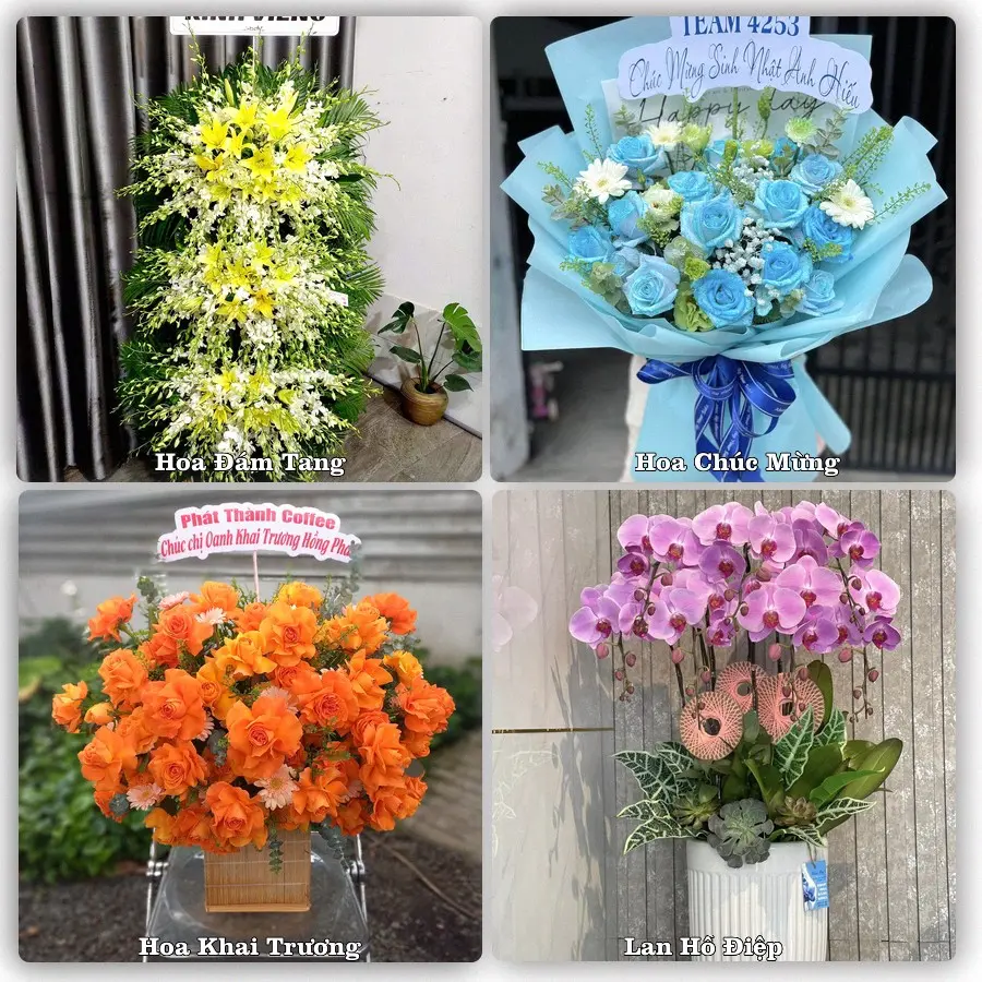 Mẫu hoa phục vụ nhu cầu đặt hoa tại Xã Hậu Nghĩa - Tỉnh Tây Ninh