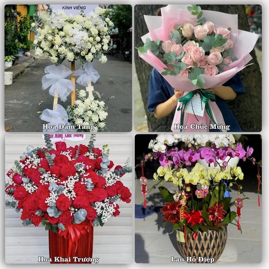 Tư vấn chọn hoa theo người nhận và dịp tặng tại Xã Hậu Nghĩa - Tỉnh Tây Ninh
