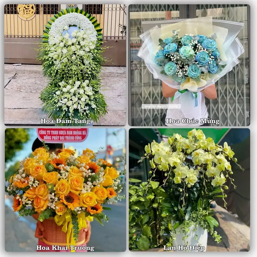 Dịch vụ đặt hoa và giao tận nơi tại Xã Hội An - Tỉnh An Giang