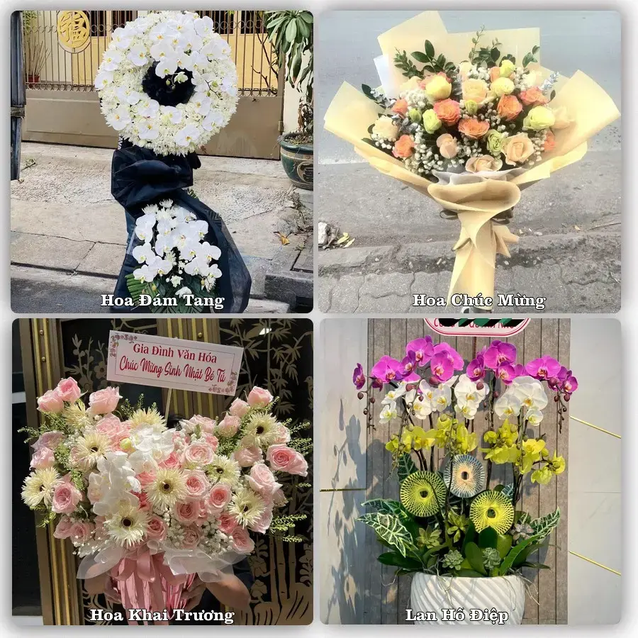 Tư vấn chọn hoa theo người nhận và dịp tặng tại Xã Hội An - Tỉnh An Giang