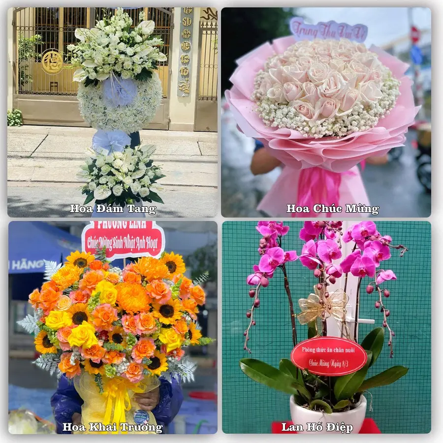 Tư vấn chọn hoa theo người nhận và dịp tặng tại Xã Kẻ Sặt - Thành phố Hải Phòng