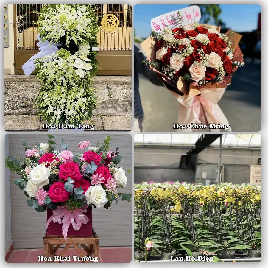 Dịch vụ đặt hoa và giao tận nơi tại Phường Kim Long - Thành phố Huế