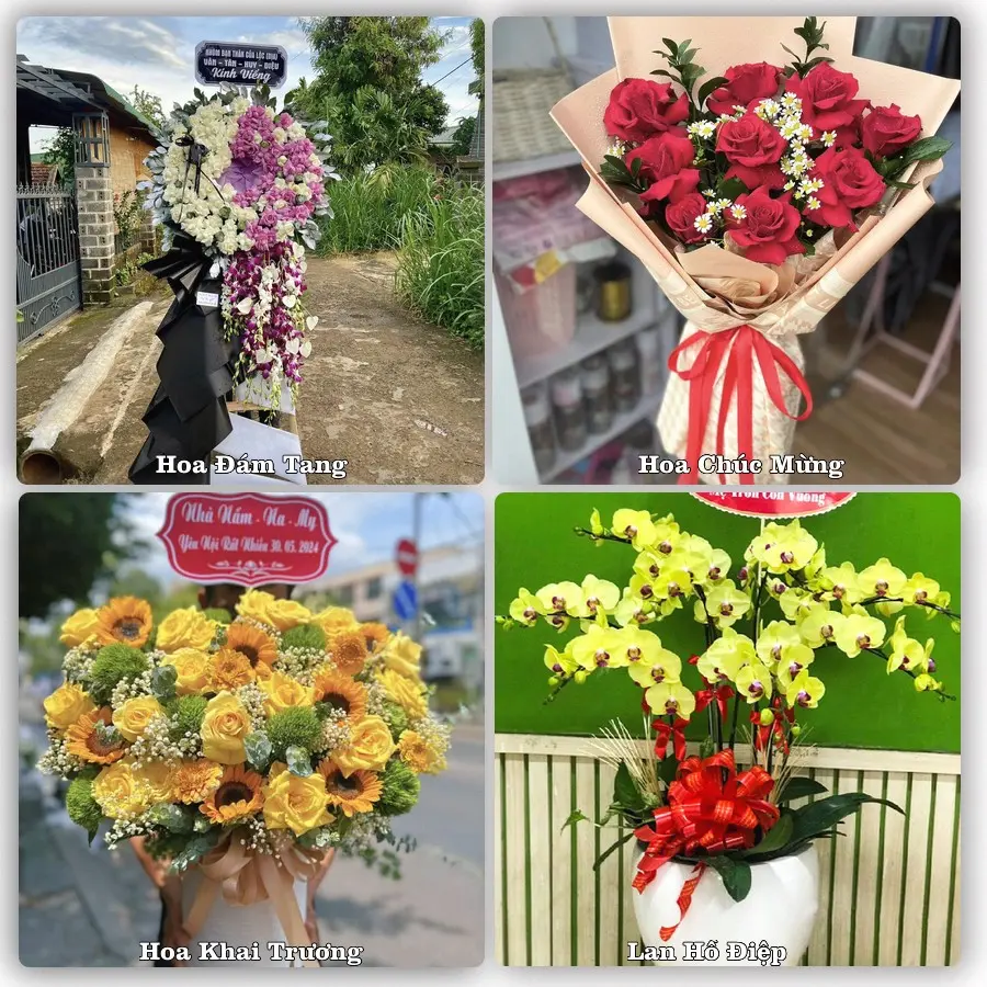 Tư vấn chọn hoa theo người nhận và dịp tặng tại Phường Kim Long - Thành phố Huế