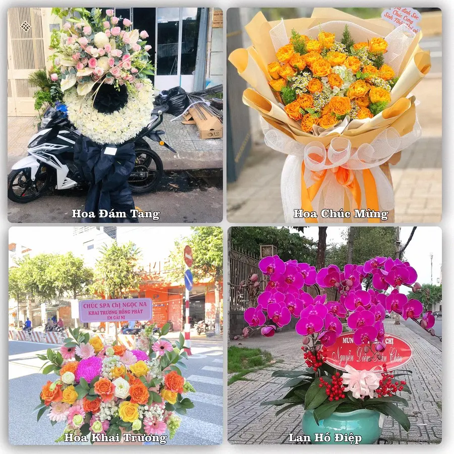 Tư vấn chọn hoa theo người nhận và dịp tặng tại Phường Nam Đồng - Thành phố Hải Phòng