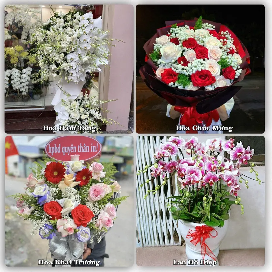 Dịch vụ đặt hoa và giao tận nơi tại Xã Nam Phước - Thành phố Đà Nẵng