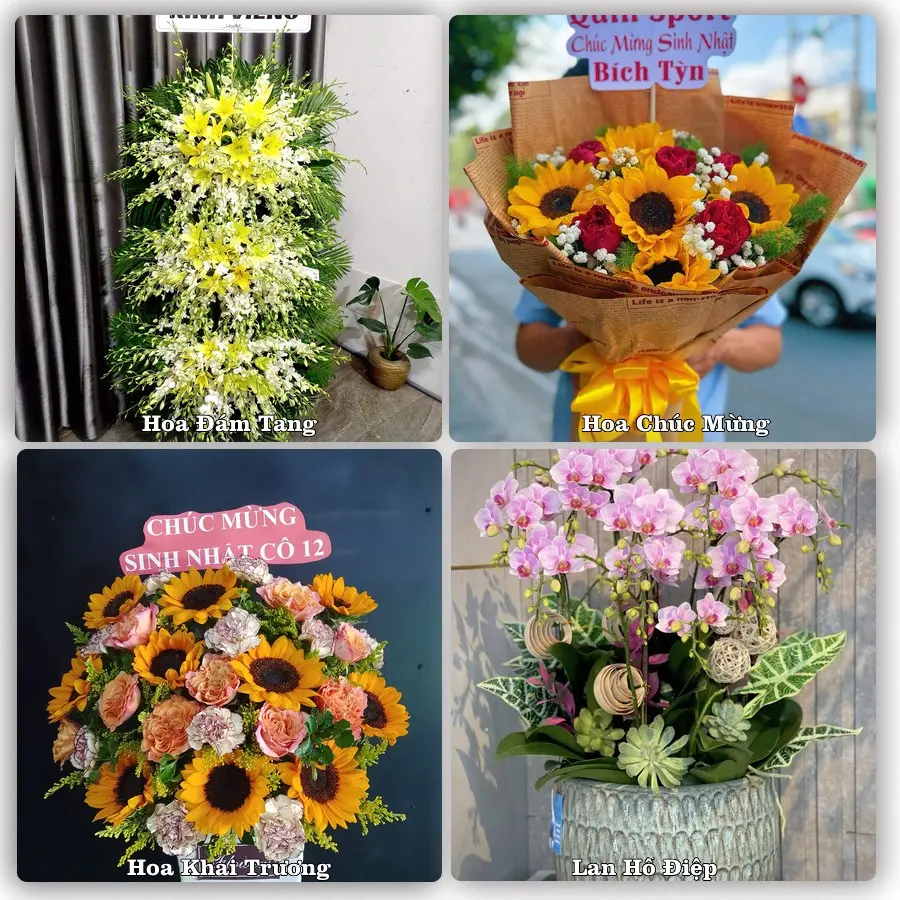 Tư vấn chọn hoa theo người nhận và dịp tặng tại Xã Ninh Cường - Tỉnh Ninh Bình