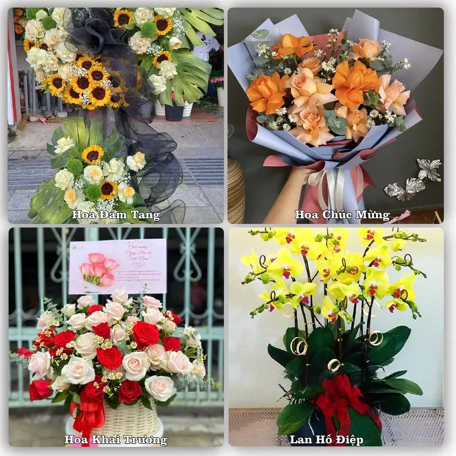 Shop hoa tươi Phường Tam Kỳ, Đà Nẵng – đặt hoa theo dịp, giao tận nơi
