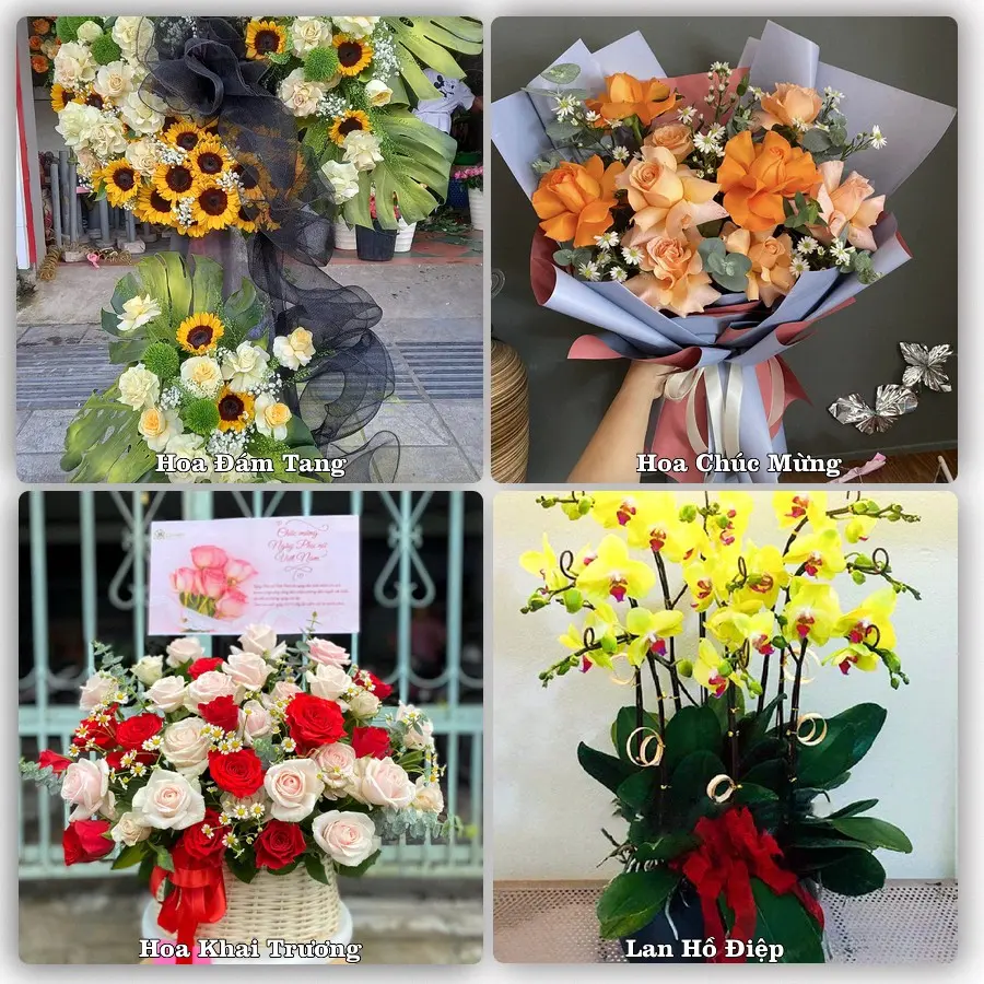 Mẫu hoa phục vụ nhu cầu đặt hoa tại Phường Tam Kỳ - Thành phố Đà Nẵng