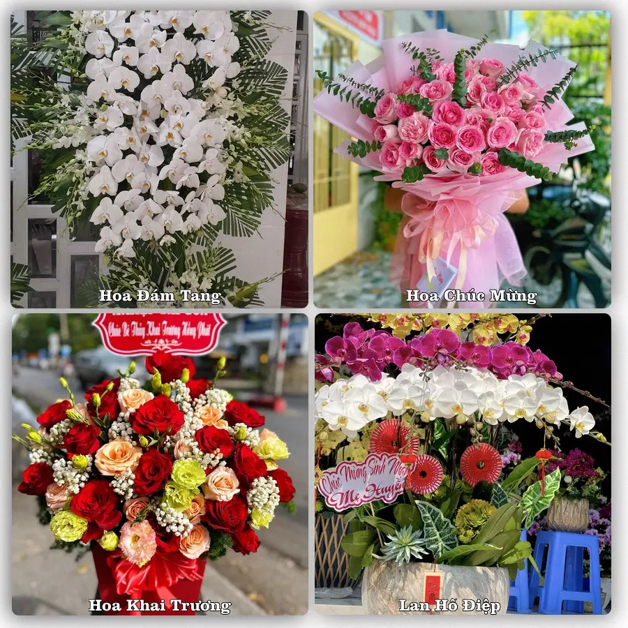 Tư vấn chọn hoa theo người nhận và dịp tặng tại Phường Tam Kỳ - Thành phố Đà Nẵng