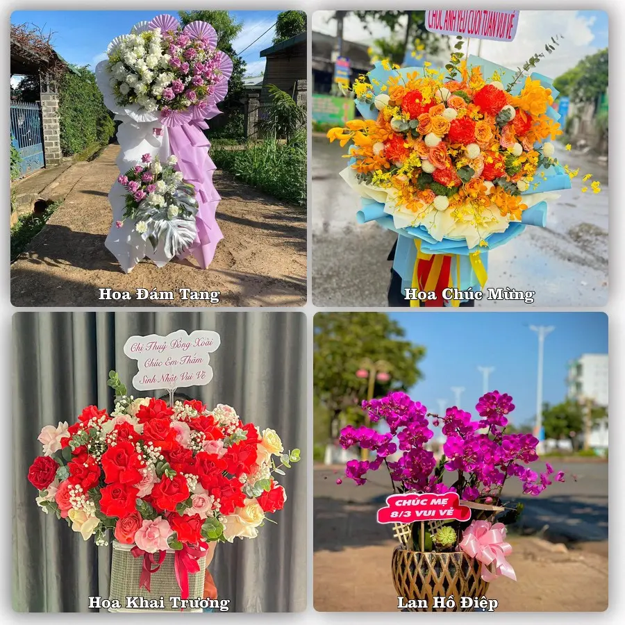 Tư vấn chọn hoa theo người nhận và dịp tặng tại Phường Thiên Trường - Tỉnh Ninh Bình