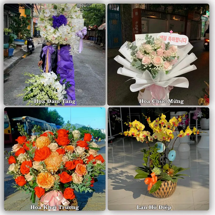 Mẫu hoa phục vụ nhu cầu đặt hoa tại Xã Tứ Kỳ - Thành phố Hải Phòng