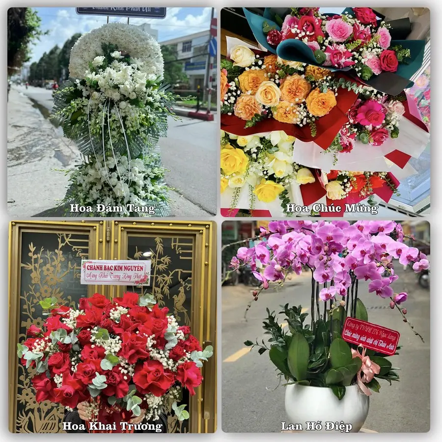 Tư vấn chọn hoa theo người nhận và dịp tặng tại Xã Tứ Kỳ - Thành phố Hải Phòng
