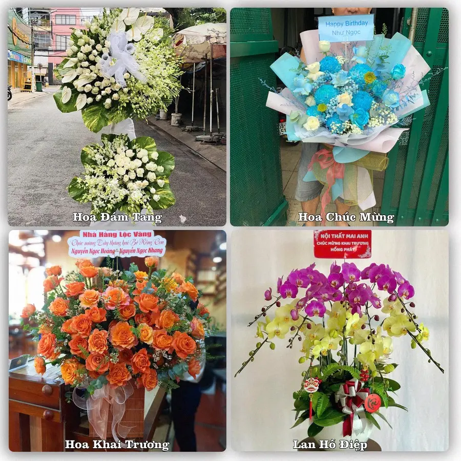 Dịch vụ đặt hoa và giao tận nơi tại Phường Ái Quốc - Thành phố Hải Phòng
