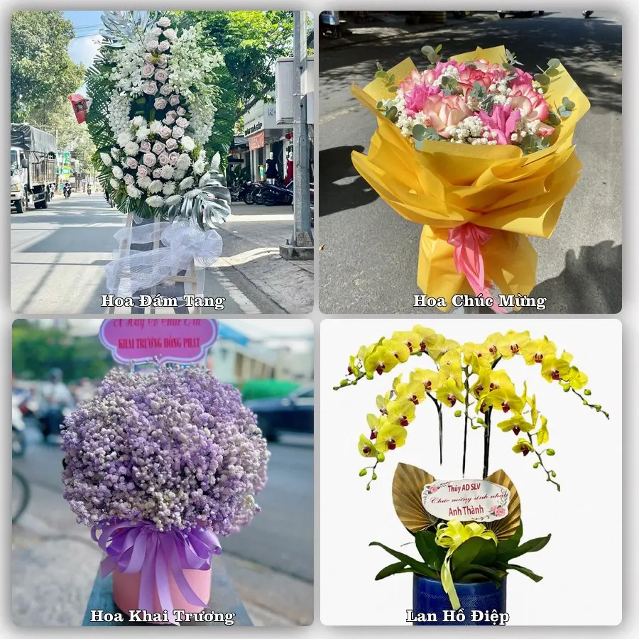 Mẫu hoa phục vụ nhu cầu đặt hoa tại Phường Ái Quốc - Thành phố Hải Phòng
