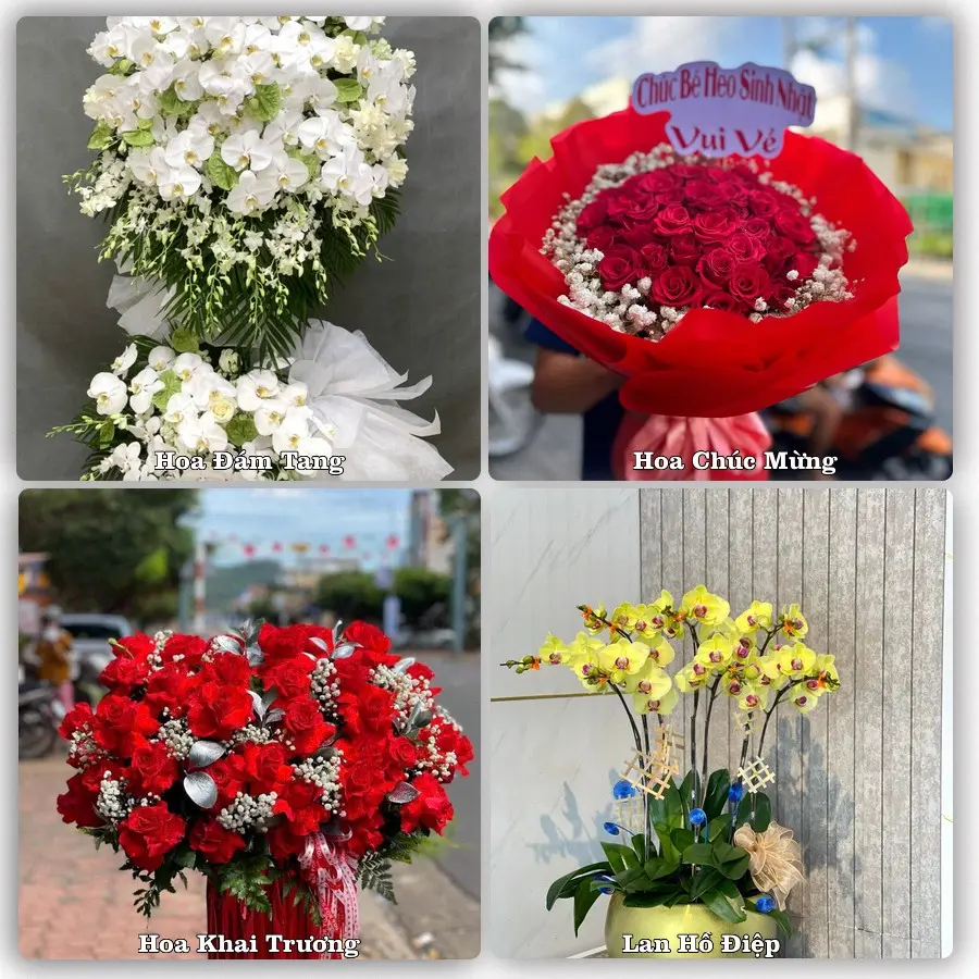 Tư vấn chọn hoa theo người nhận và dịp tặng tại Phường Ái Quốc - Thành phố Hải Phòng