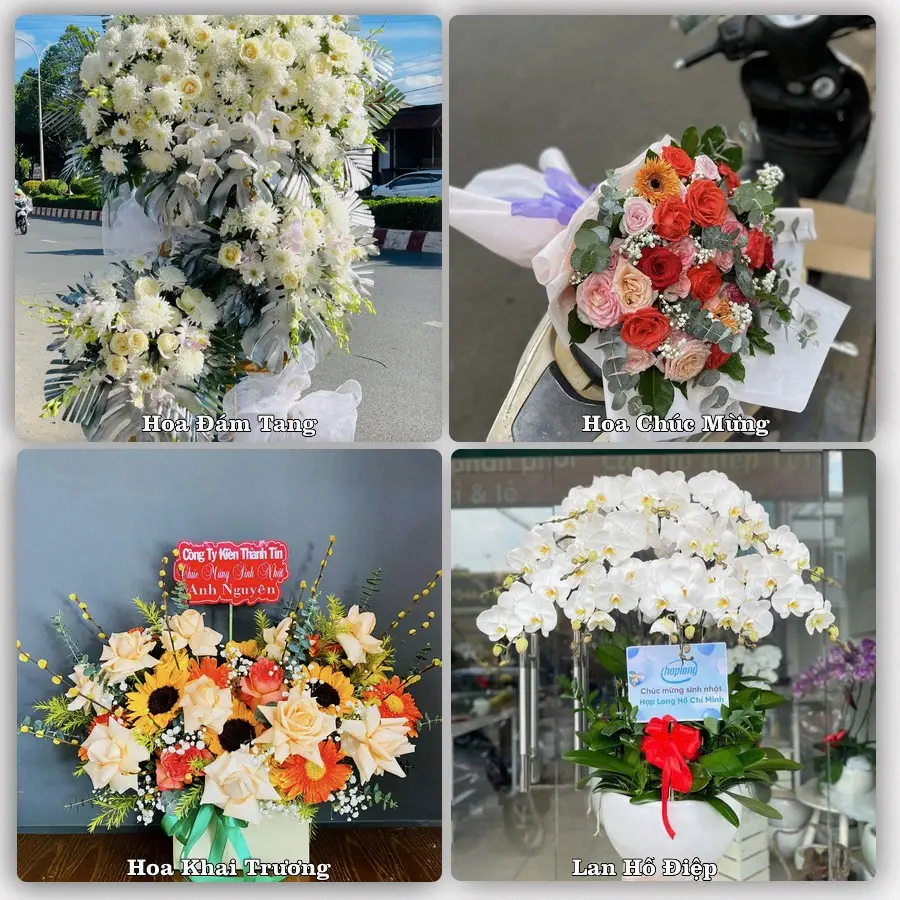 Dịch vụ đặt hoa và giao tận nơi tại Phường An Cựu - Thành phố Huế