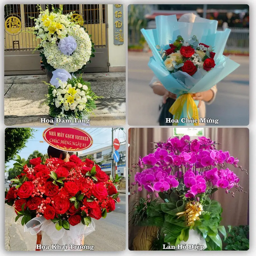 Tư vấn chọn hoa theo người nhận và dịp tặng tại Phường An Cựu - Thành phố Huế