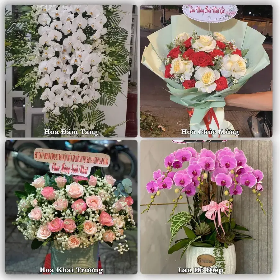 Dịch vụ đặt hoa và giao tận nơi tại Phường Cam Đường - Tỉnh Lào Cai