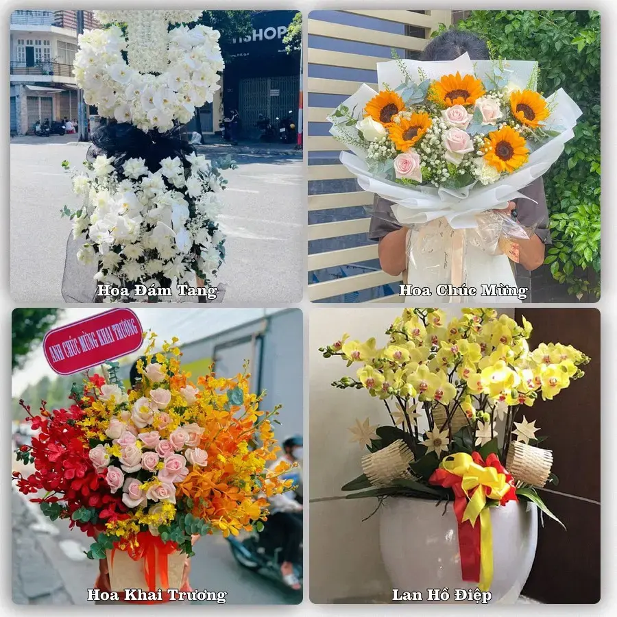 Giao hoa tươi tại Phường Cam Đường, Lào Cai – đặt mẫu online