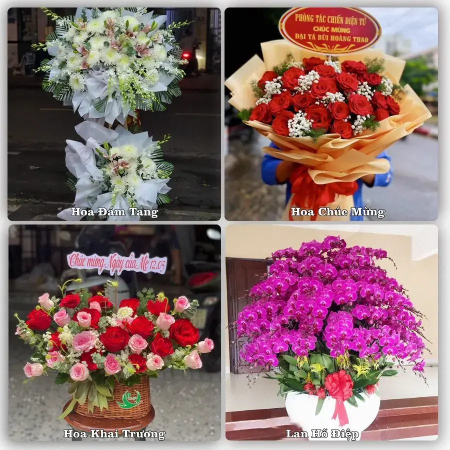 Tư vấn chọn hoa theo người nhận và dịp tặng tại Phường Cam Đường - Tỉnh Lào Cai