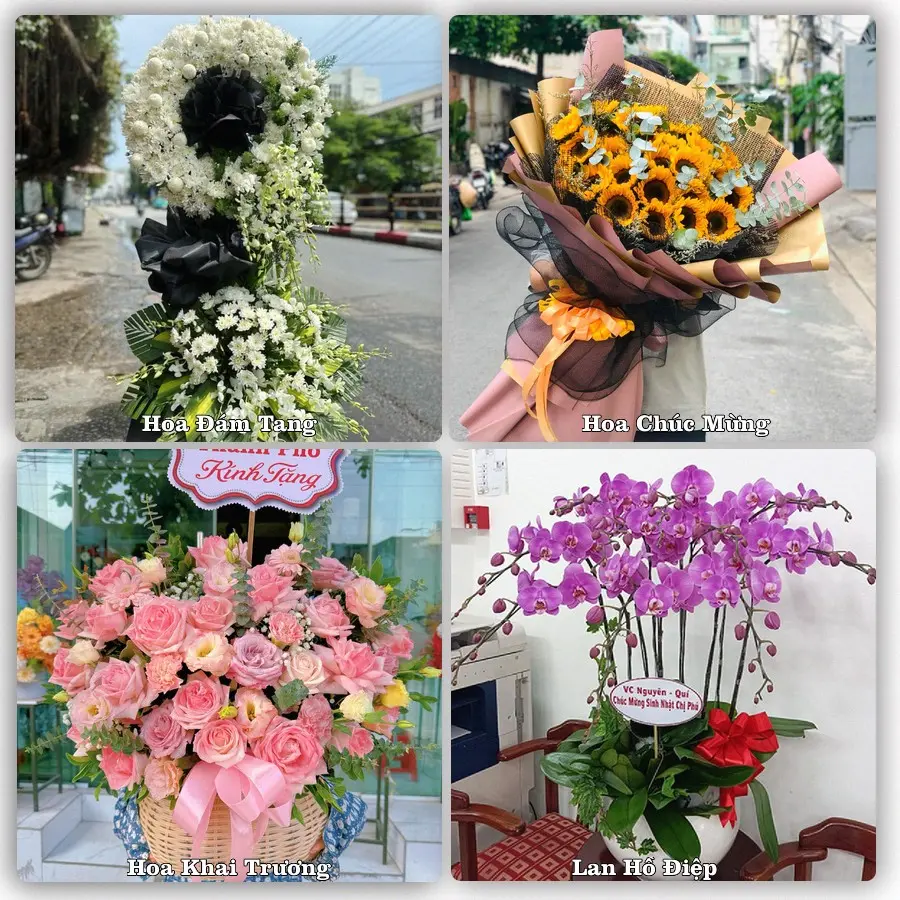 Tư vấn chọn hoa theo người nhận và dịp tặng tại Phường Hóa Châu - Thành phố Huế