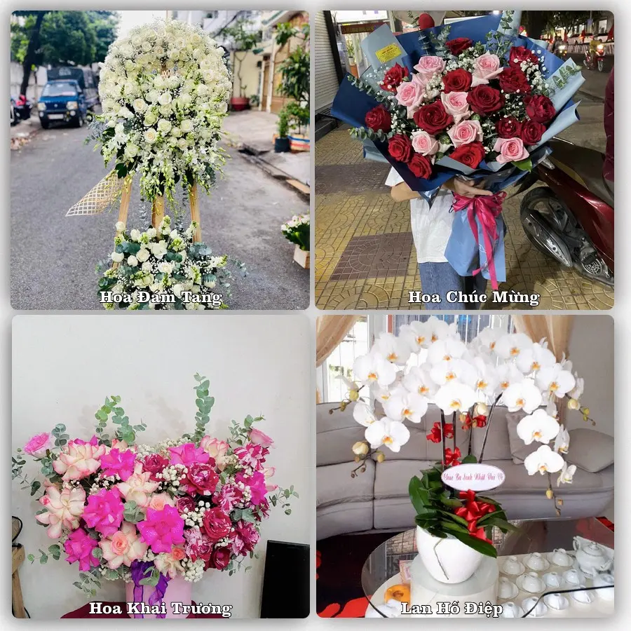 Tư vấn chọn hoa theo người nhận và dịp tặng tại Phường Hoàng Mai - Tỉnh Nghệ An