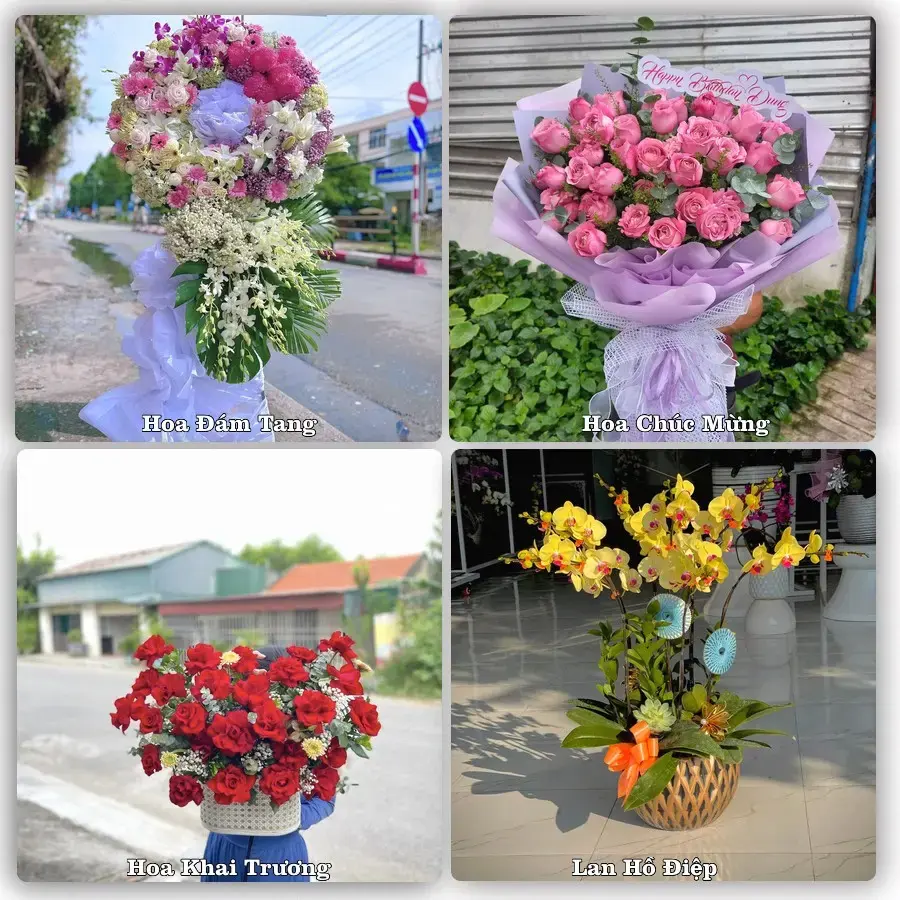 Giao hoa tươi tại Xã Ngãi Giao, Hồ Chí Minh – đặt mẫu online