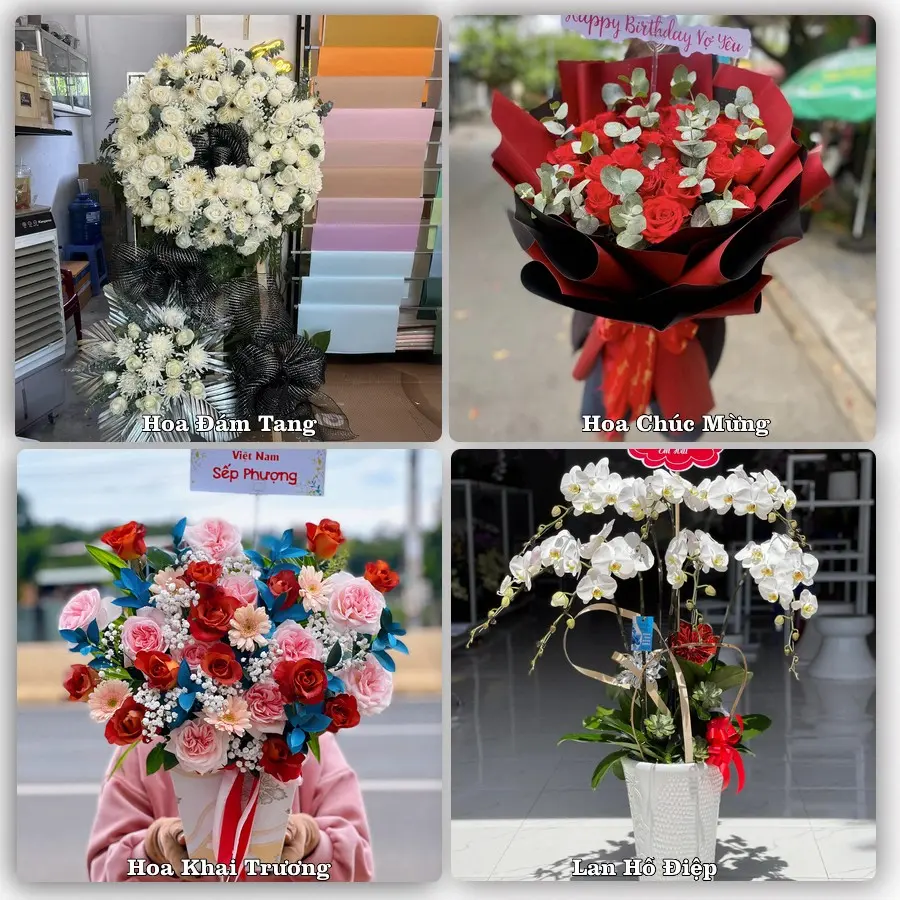 Tư vấn chọn hoa theo người nhận và dịp tặng tại Xã Ngãi Giao - Thành phố Hồ Chí Minh